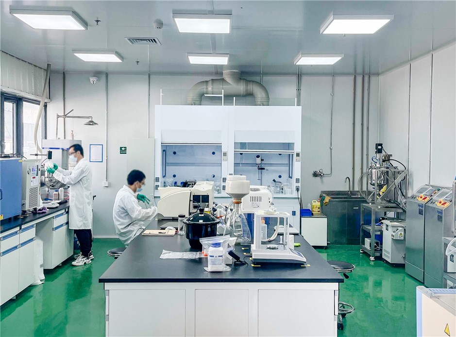 13.武漢先進(jìn)院軍山中試基地電池材料實(shí)驗(yàn)室.jpg