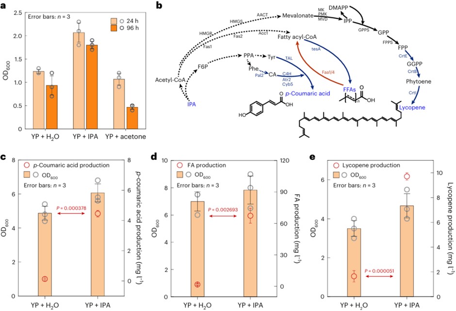 微信圖片_20250704155636.png 微信圖片_20250704155636.png